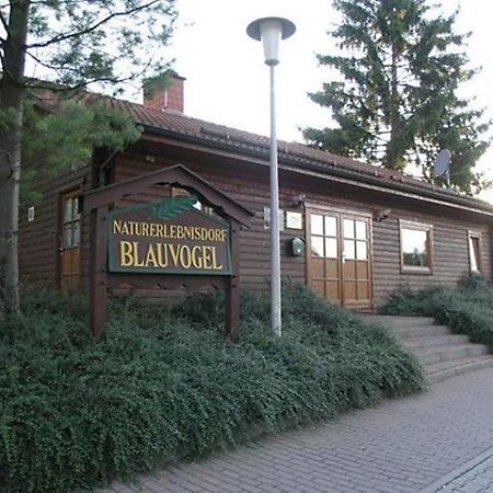 Ferienhaus Nr 32, Typ A, Ferienanlage Blauvogel, Hasselfelde, Harz Dış mekan fotoğraf