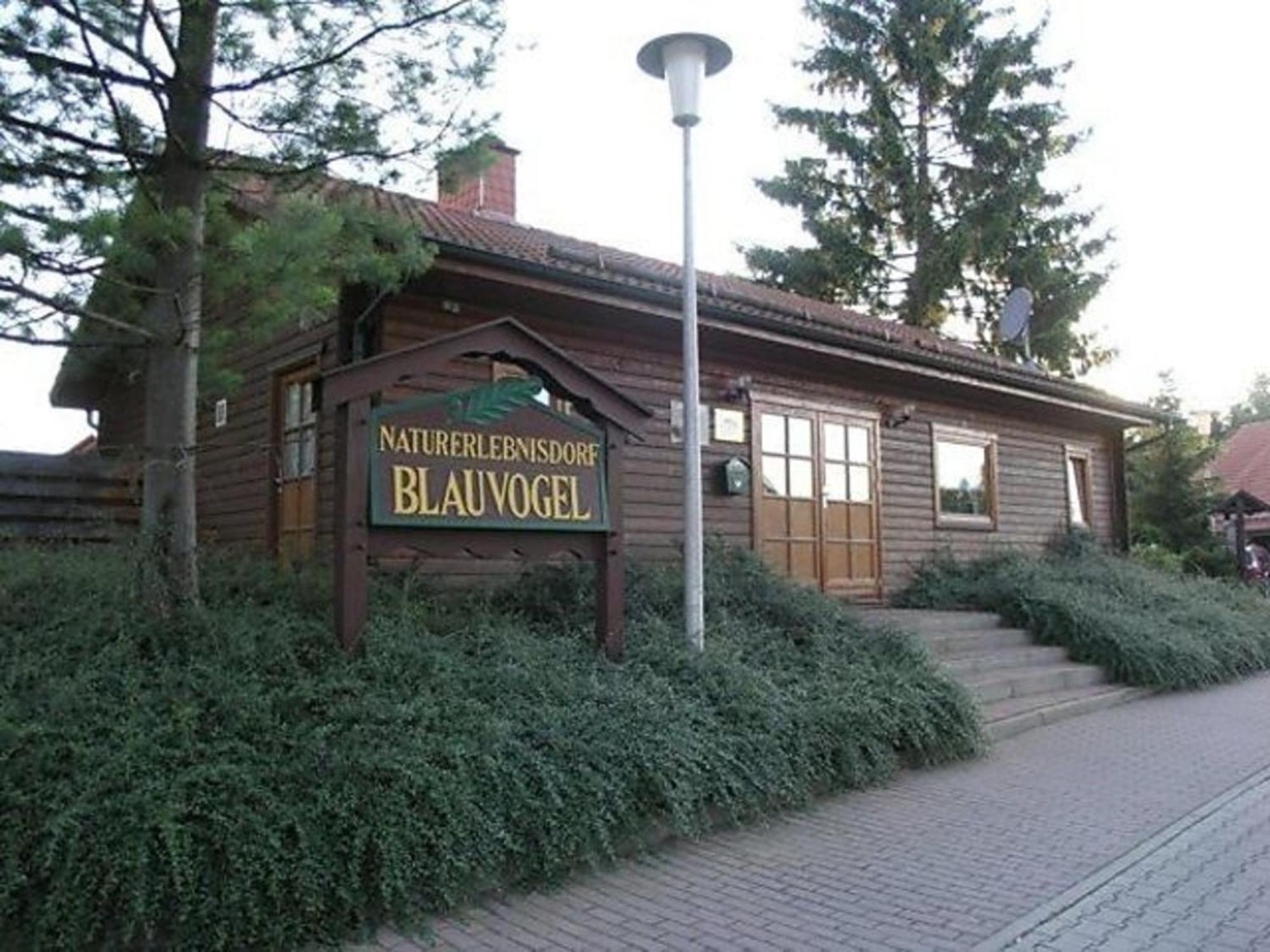 Ferienhaus Nr 32, Typ A, Ferienanlage Blauvogel, Hasselfelde, Harz Dış mekan fotoğraf