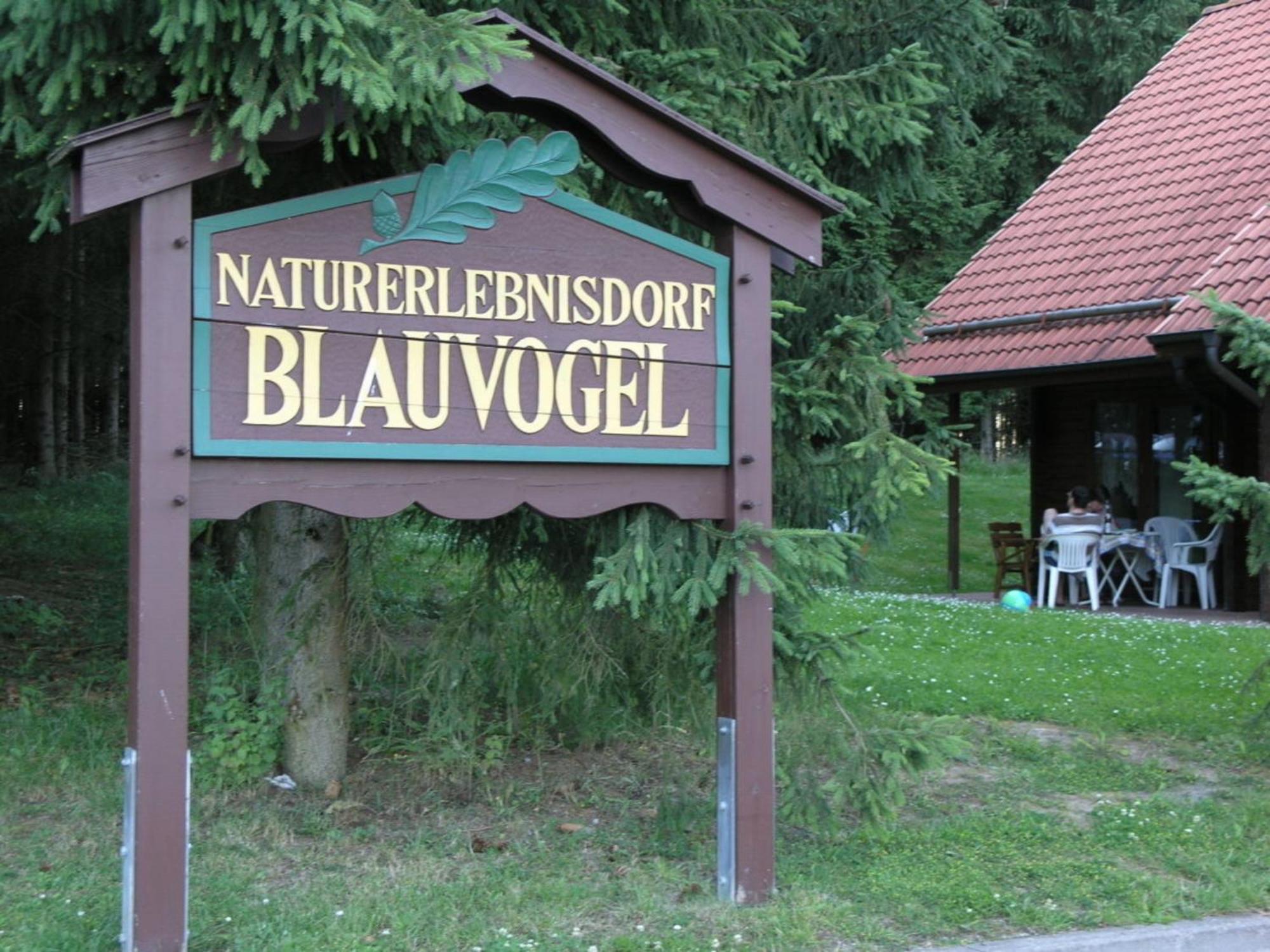 Ferienhaus Nr 32, Typ A, Ferienanlage Blauvogel, Hasselfelde, Harz Dış mekan fotoğraf